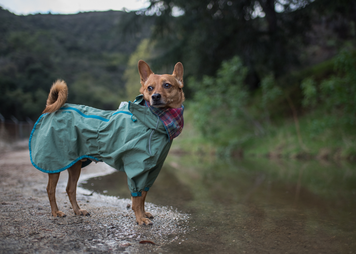hurtta drizzle raincoat